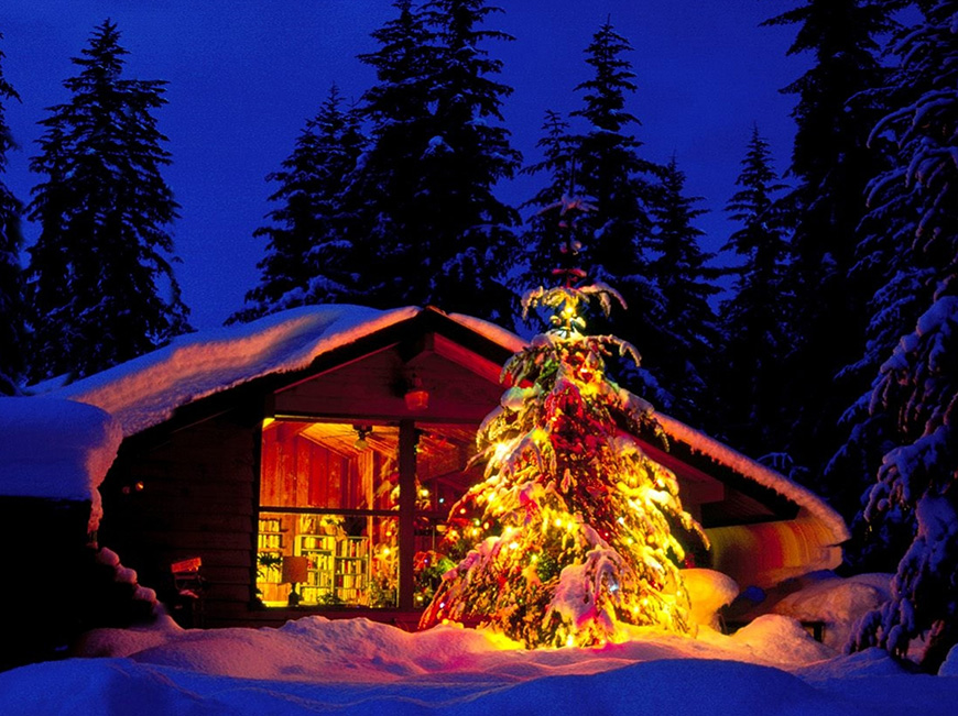 домик в лесу с новогодней елкой